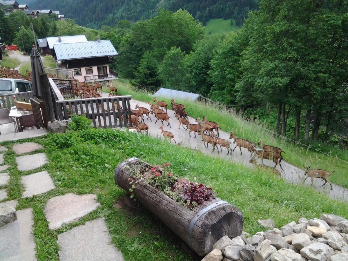 Le Refuge Des Marmottes Villa Arêches Dış mekan fotoğraf